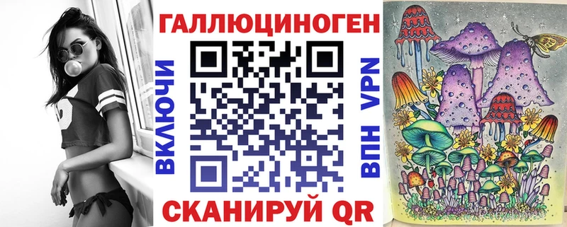 Галлюциногенные грибы Psilocybe Конаково